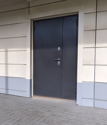 Глухая полуторная дверь