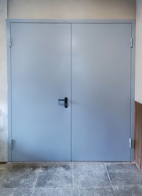 Равностворчатая огнестойкая дверь Равностворчатая огнестойкая дверь